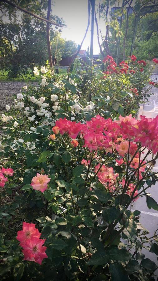 Ekas Rosengarten Ґорі Екстер'єр фото