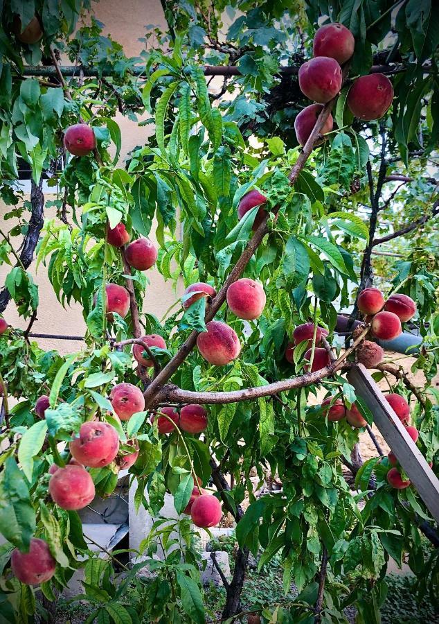 Ekas Rosengarten Ґорі Екстер'єр фото
