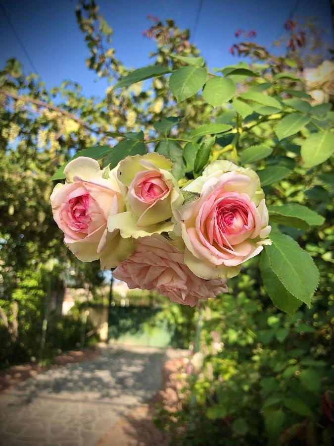 Ekas Rosengarten Ґорі Екстер'єр фото