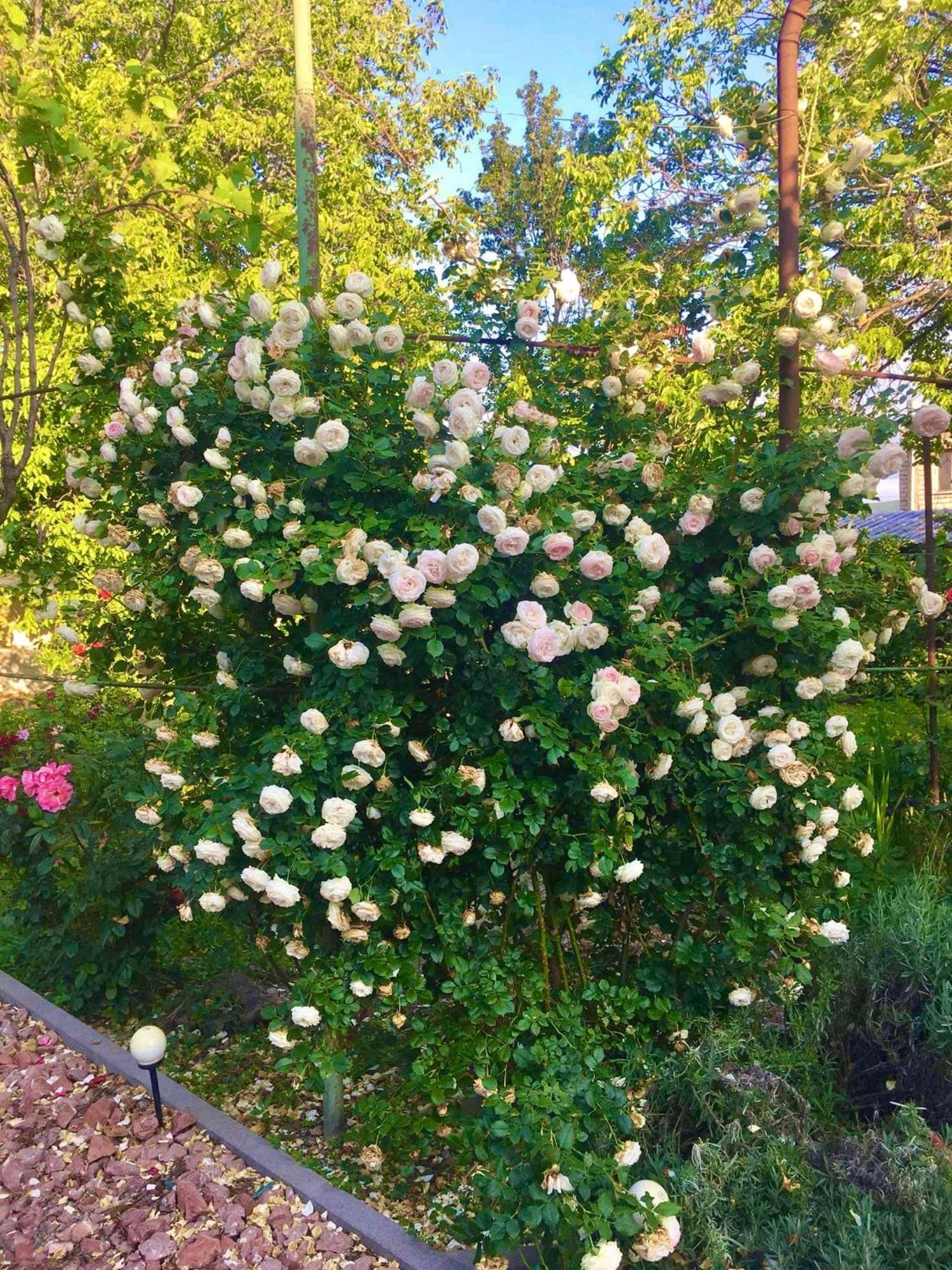 Ekas Rosengarten Ґорі Екстер'єр фото