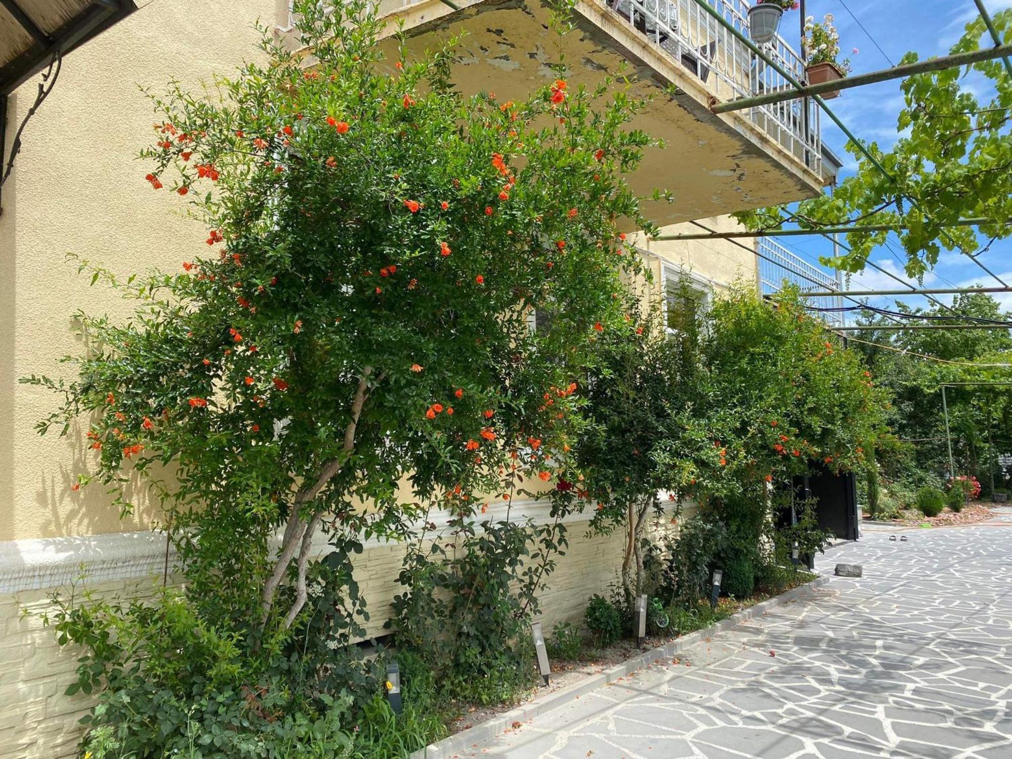 Ekas Rosengarten Ґорі Екстер'єр фото