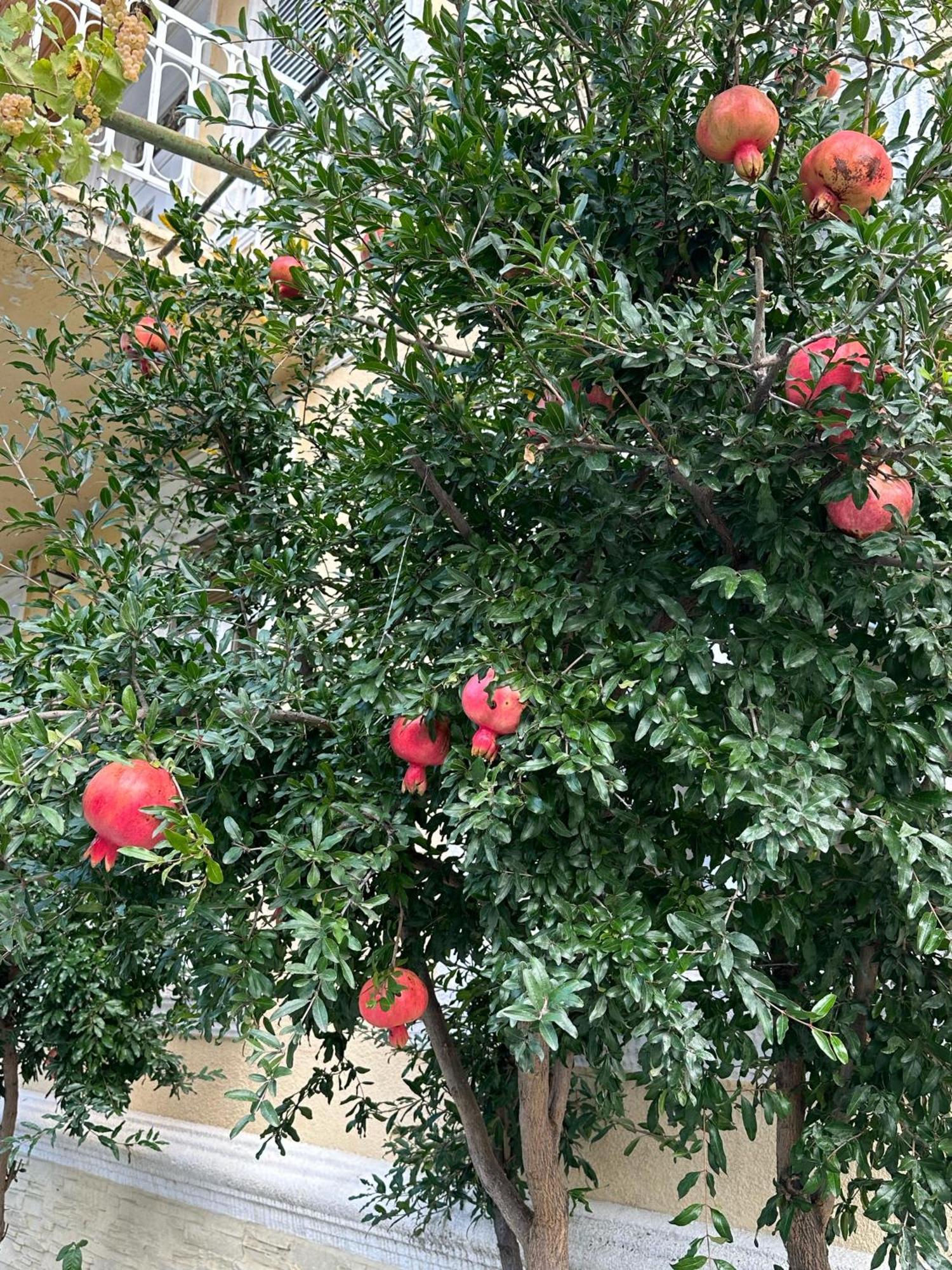 Ekas Rosengarten Ґорі Екстер'єр фото